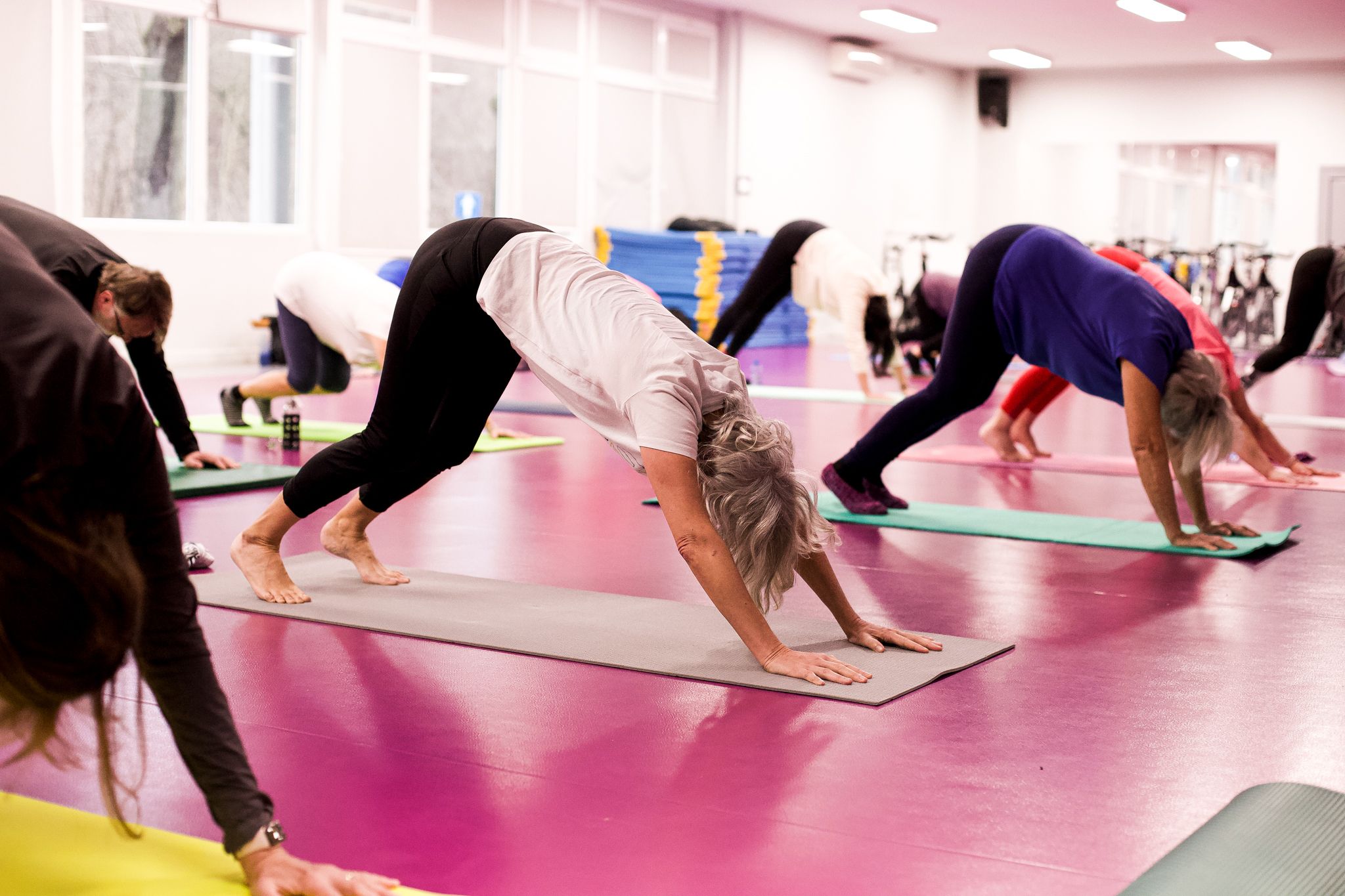 Joga (Witomino)