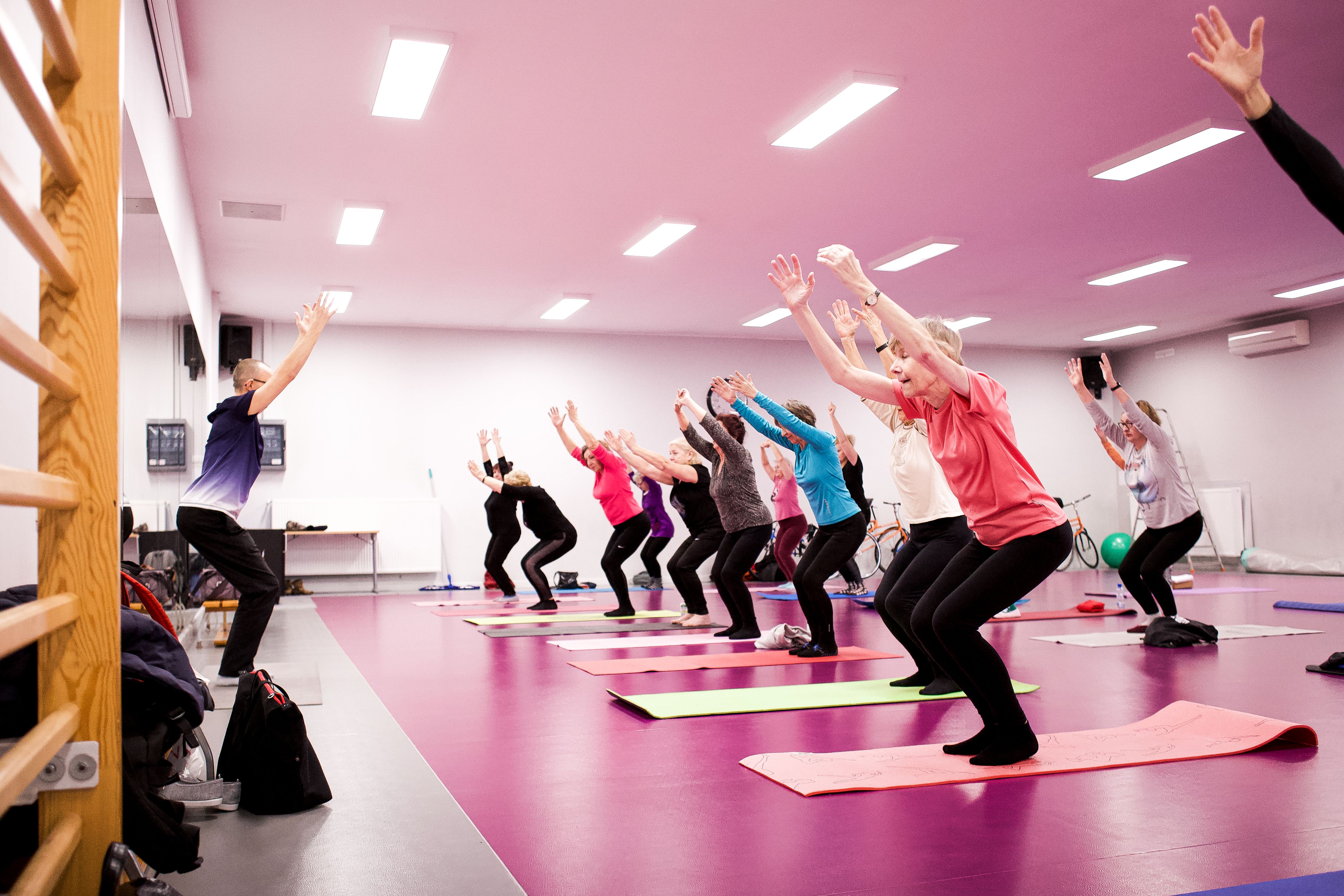 Joga (Witomino)