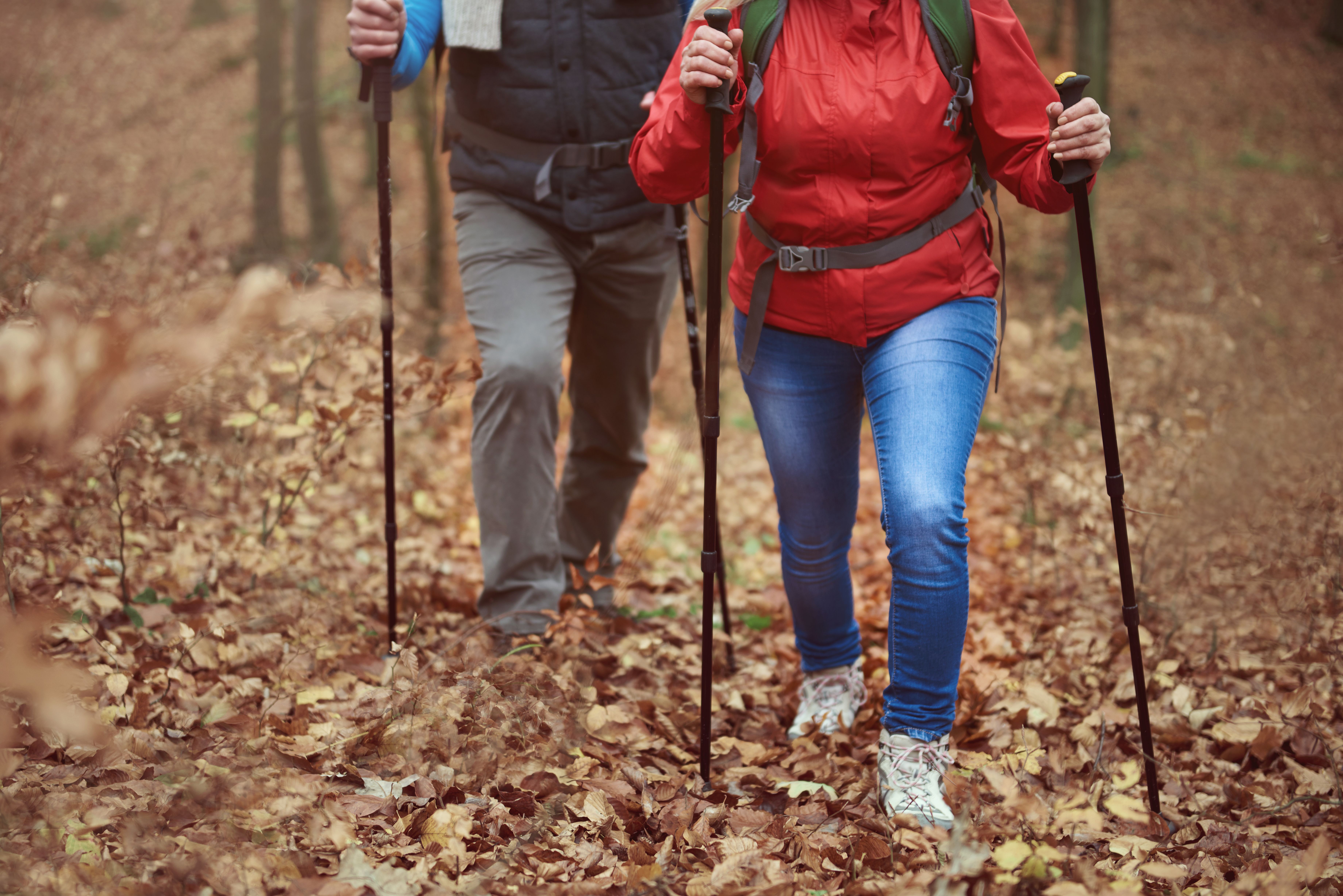 Nordic Walking (Pustki Cisowskie-Demptowo)