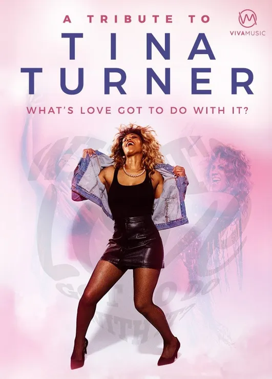 Tribute To Tina Turner