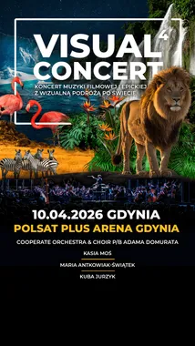 VISUAL KONCERT 4